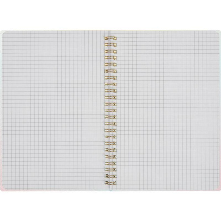 Бизнес-тетрадь Attache Selection Rainbow A5 80 листов разноцветная в  клетку на спирали (145х208 мм)