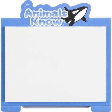 Стикеры M&G Animal Planet 76x101 мм в ассортименте (1 блок на 40  листов)