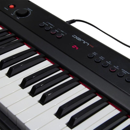 Пианино цифровое Denn Pro PW01