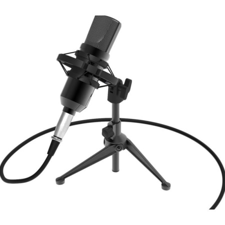 Микрофон Ritmix RDM-160 (80000132) Микрофон Ritmix RDM-160 (80000132)