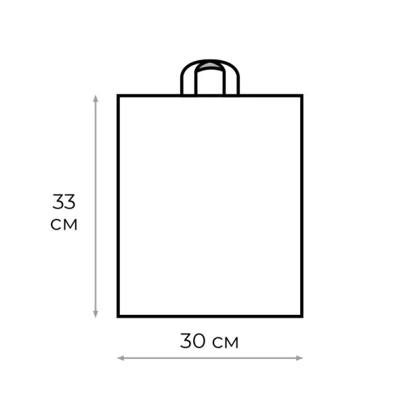 Пакет полиэтиленовый черный 30х33 см с петлевой ручкой (50 штук в  упаковке)