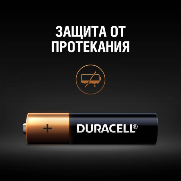 Батарейки Duracell Basic мизинчиковые ААA LR03 (2 штуки в упаковке)