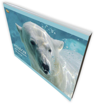 Альбом для рисования №1 School Белый медведь А4 40 листов (2 штуки в  упаковке)