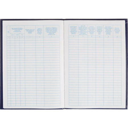 Книга учета движения трудовых книжек и вкладышей в них (94 листа,  сшивка, обложка бумвинил)