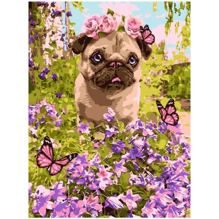 Картина по номерам Маленький песик