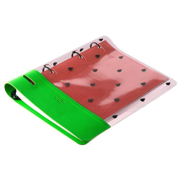 Бизнес-тетрадь Infolio Watermelon A5 120 листов разноцветная в клетку на кольцах (175x212 мм)