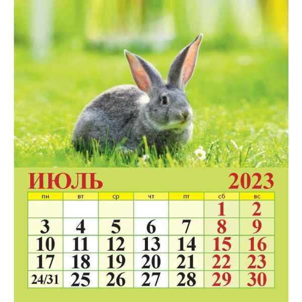 Календарь-домик настольный на 2023 год Символ года (100х140 мм)