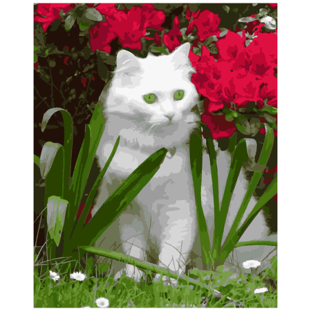 Картина по номерам Котик в саду