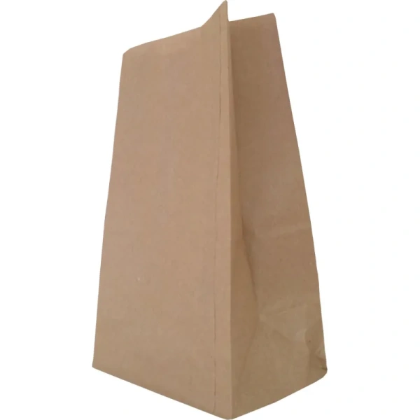 Крафт-пакет бумажный коричневый 22x12х29 см 70 г/кв.м био (600 штук в   упаковке)