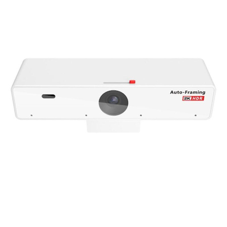 Камера для видеоконференций Nearity V21 (AW-V21)