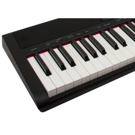 Пианино цифровое Denn Pro PW01