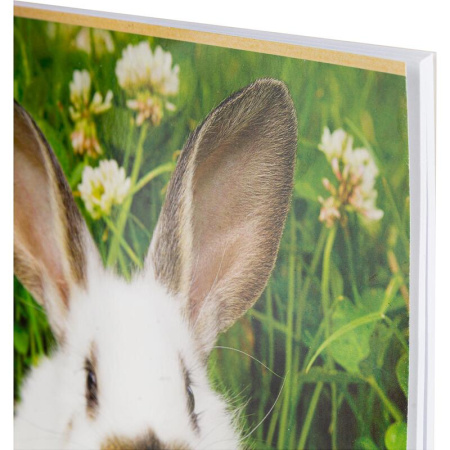 Альбом для рисования Hatber Бархатные ушки А4 40 листов (обложка в  ассортименте)