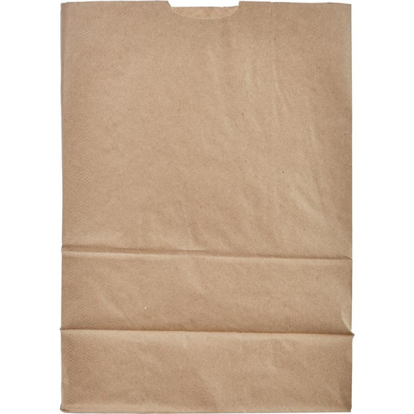 Крафт пакет бумажный коричневый 18х29x12 см (1000 штук в упаковке)