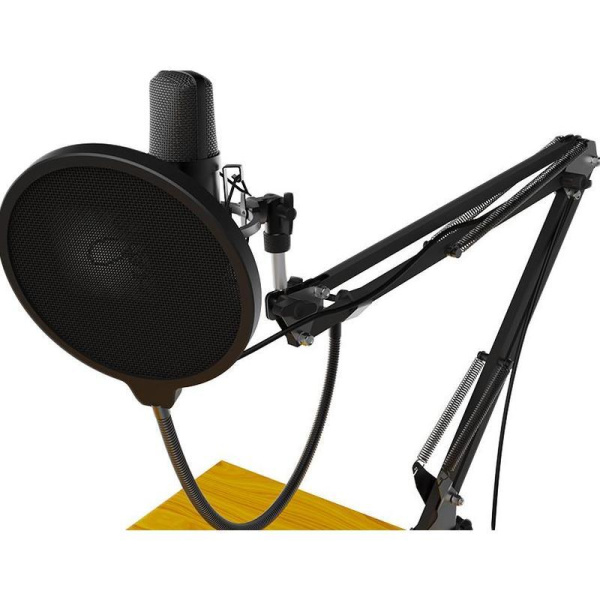 Микрофон Ritmix RDM-169 (80000749)
