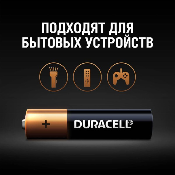 Батарейки Duracell Basic мизинчиковые ААA LR03 (2 штуки в упаковке)