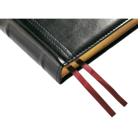 Ежедневник полудатированный Bruno Visconti Boss искусственная кожа A5+ 208 листов черный (145х217 мм) (артикул производителя 3-404/267)