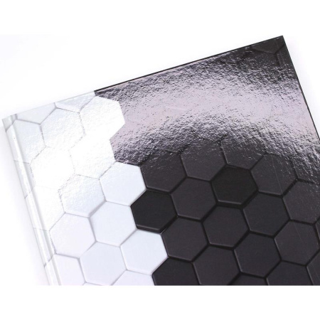 Бизнес-тетрадь Канц-Эксмо Соты А4 100 листов разноцветная в клетку на  сшивке (210х290 мм)