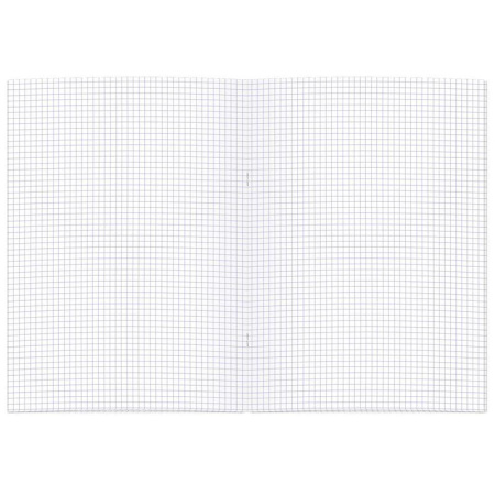 Тетрадь общая Полином «Графо» (А4, 60 листов, клетка, на скрепке)