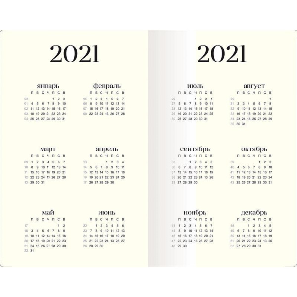 Еженедельник датированный 2021 год InFolio Dots картон A5 64 листа голубой (130x205 мм)