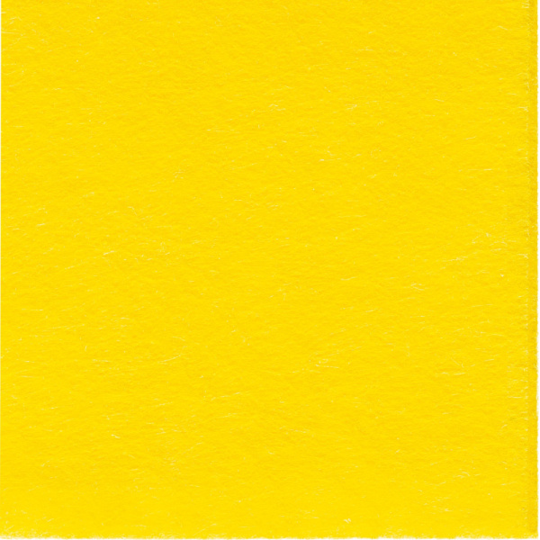 Салфетки хозяйственные Paclan вискоза 40x30 см 90 г/кв.м (10 штук в  упаковке)