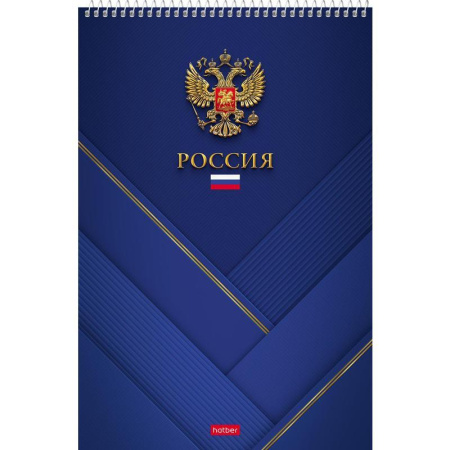 Блокнот Hatber Россия А4 80 листов разноцветный в клетку на спирали  (198х300 мм)