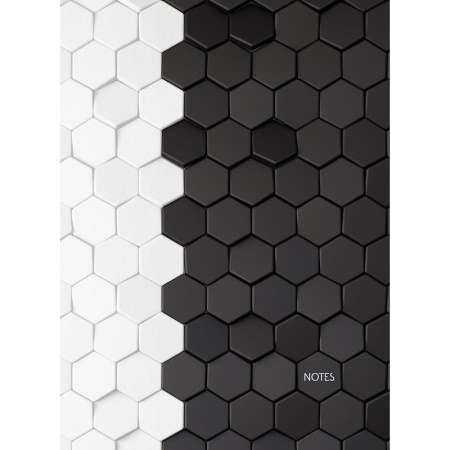 Бизнес-тетрадь Канц-Эксмо Соты А4 100 листов разноцветная в клетку на  сшивке (210х290 мм)