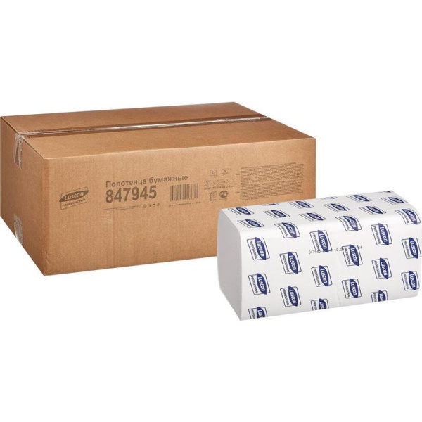 Полотенца бумажные листовые Luscan Professional V-сложения 2-слойные 20 пачек по 200 листов (артикул производителя 847945)