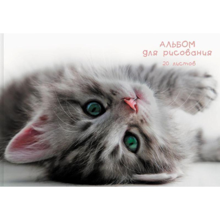 Альбом для рисования Канц-Эксмо Пушистые лапки А4 20 листов