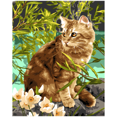 Картина по номерам Кошечка на прогулке