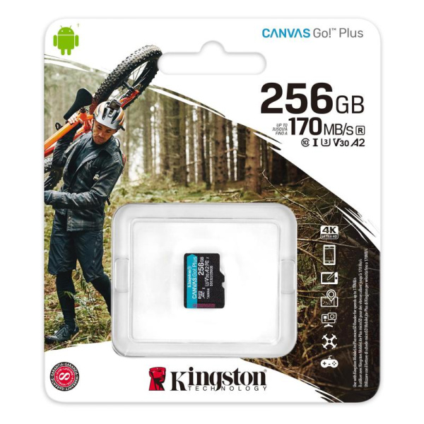 Карта памяти 256ГБ microSDXC Kingston Canvas Go! Plus Class 10 UHS-I (SDCG3/256GBSP)