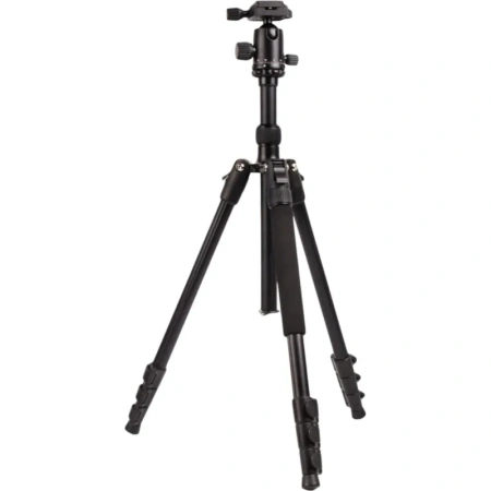 Штатив Raylab Pro 65 с головой (RLCTAL65)