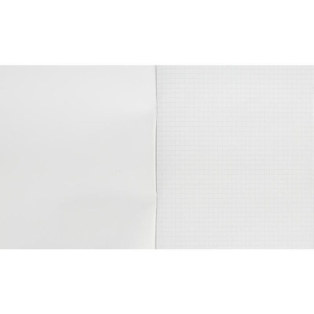 Тетрадь общая А5, 96 листов, клетка, на скрепке