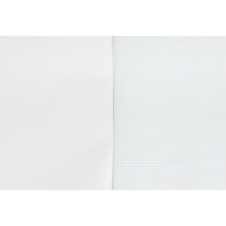 Тетрадь общая А4, 96 листов, клетка, на скрепке