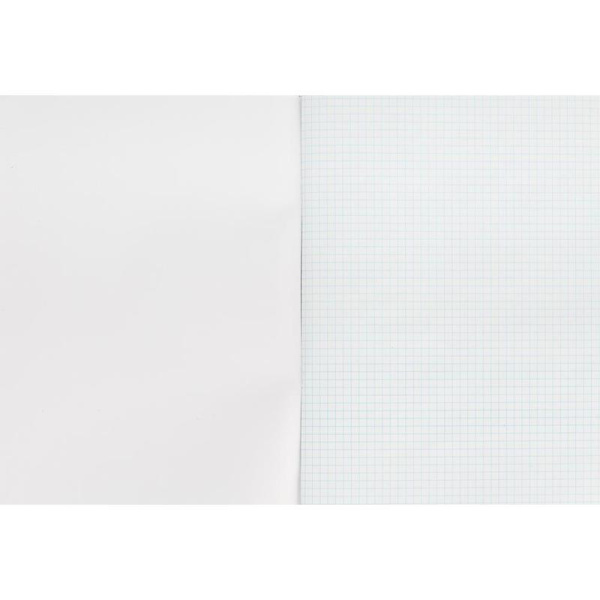 Тетрадь общая А4, 96 листов, клетка, на скрепке