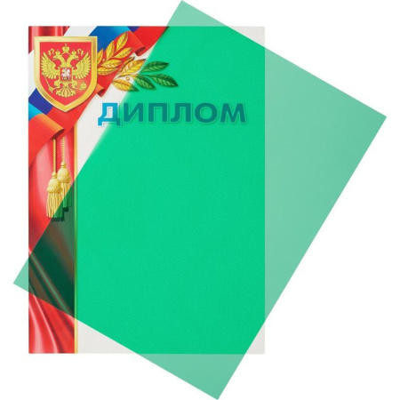 Обложки для переплета пластиковые ProMega Office зеленые, прозр., А4, 200мк