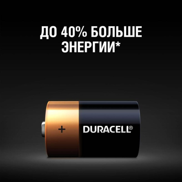 Батарейки Duracell Basic большие D LR20 (2 штуки в упаковке)