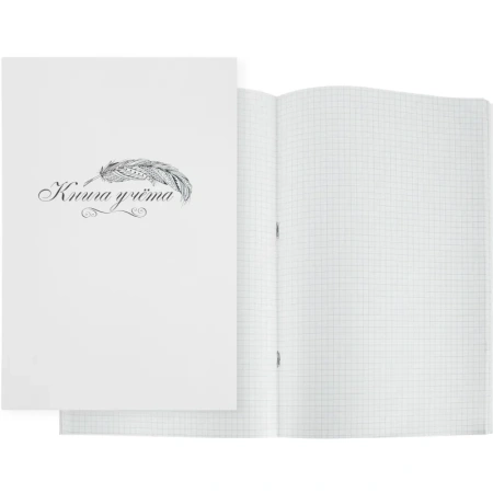 Книга учета 96 листов А4 в клетку на скрепке блок типографская бумага  Выбор есть (обложка из картона)