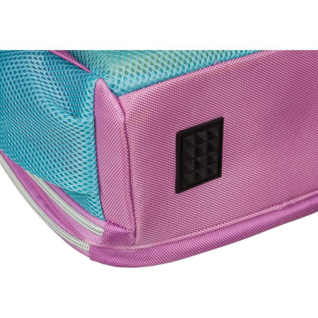 Ранец Комус Класс Basic Лисичка анатомический розовый с двумя  отделениями