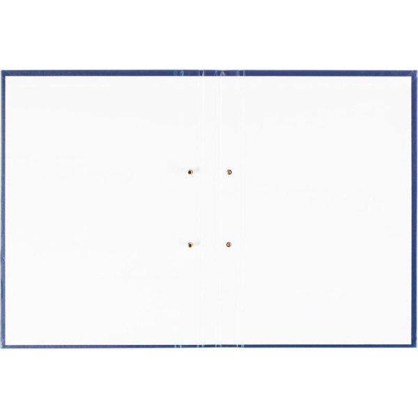 Папка Дипломный проект А4 бумвинил синяя