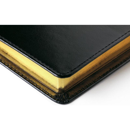 Ежедневник полудатированный Bruno Visconti Profy натуральная кожа А5 208 листов синий (золотистый обрез, 152x222 мм) (артикул производителя 3-073/01)