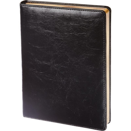 Ежедневник недатированный InFolio Challenge искусственная кожа А5 черный (140х200х22 мм)