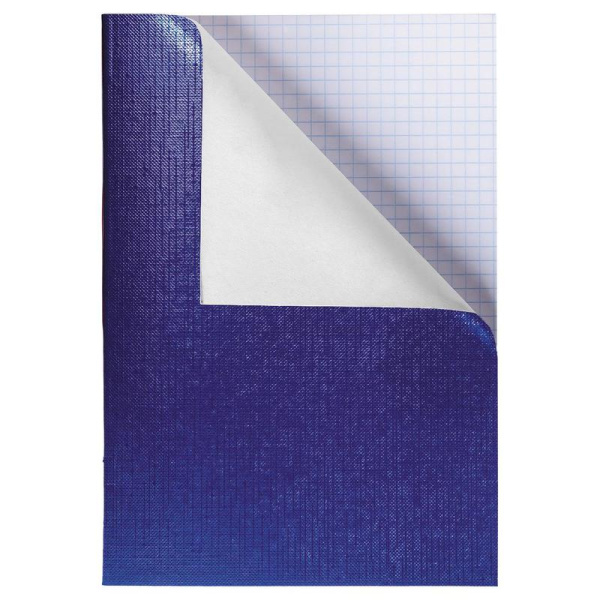 Бизнес-тетрадь Hatber Metallic A4 96 листов синяя в клетку на скрепках  (210x297 мм)
