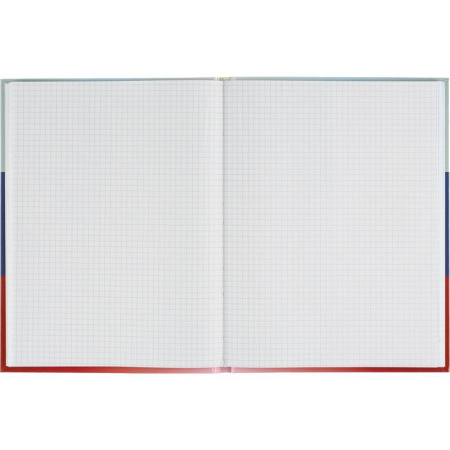 Бизнес-тетрадь Attache Economy Госсимволика А4 128 листов разноцветная в  клетку на сшивке (195x257 мм)