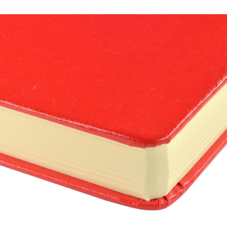 Ежедневник недатированный Bruno Visconti Megapolis искусственная кожа А5  160 листов красный (142x214 мм) Ежедневник недатированный Bruno Visconti Megapolis искусственная кожа А5  160 листов красный (142x214 мм)