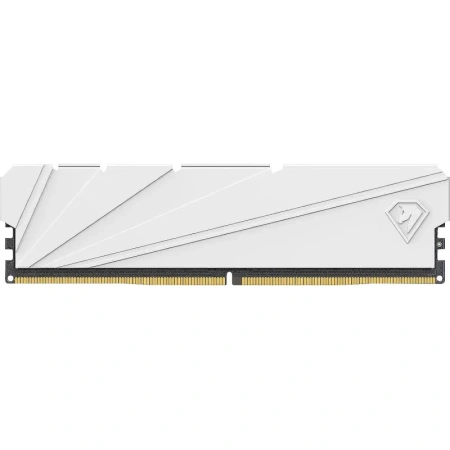 Модуль памяти Netac NTSSD4P32SP-16W DDR4 16 ГБ
