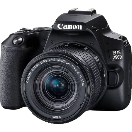 Фотоаппарат Canon EOS 250D Kit + объектив EF-S 18-55 IS STM