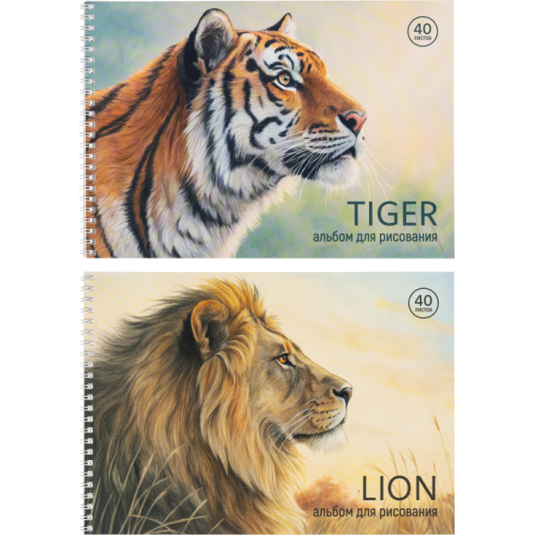 Альбом для рисования Комус Класс Сафари А4 40 листов (2 штуки в  упаковке)