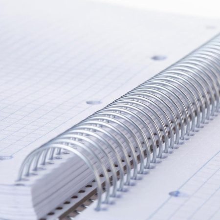 Бизнес-тетрадь Hatber Фламинго А4 160 листов разноцветная в клетку на  спирали (228х295 мм) Бизнес-тетрадь Hatber Фламинго А4 160 листов разноцветная в клетку на  спирали (228х295 мм)