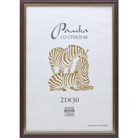 Рамка Зебра А4 21х30 см пластиковый багет 15 мм бордо