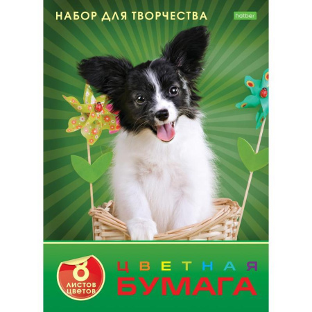 Бумага цветная Hatber ECO Любимец (А4, 8 листов, 8 цветов, офсетная)
